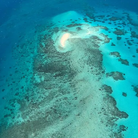 The reef and a sandbank seen from the air