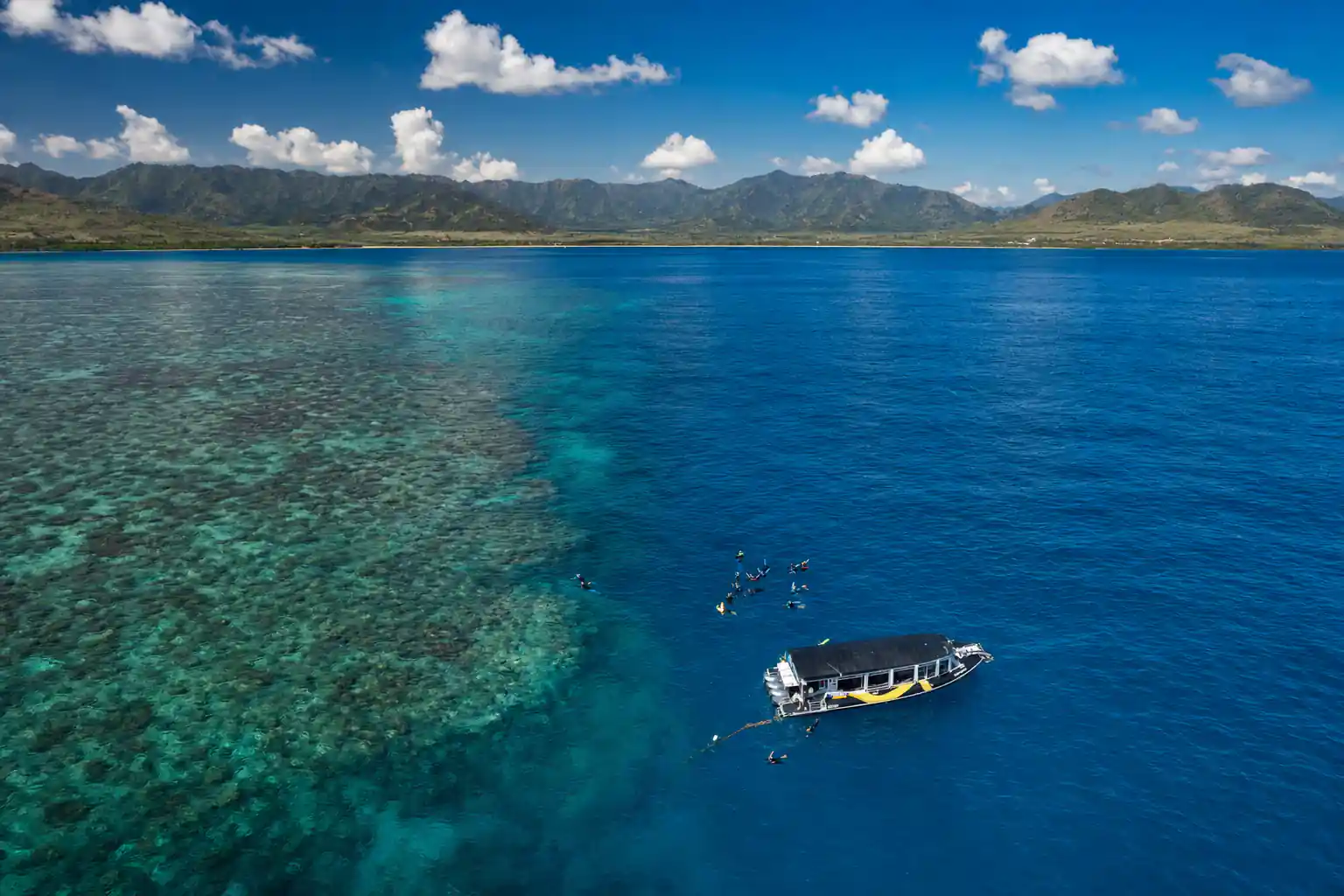 Great Barrier Reef Half-Day Snorkelling Tour