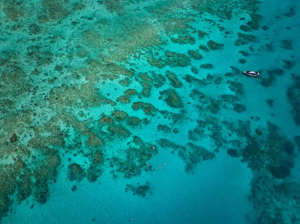 Coral bommies scattered under pale turquoise water, from the air