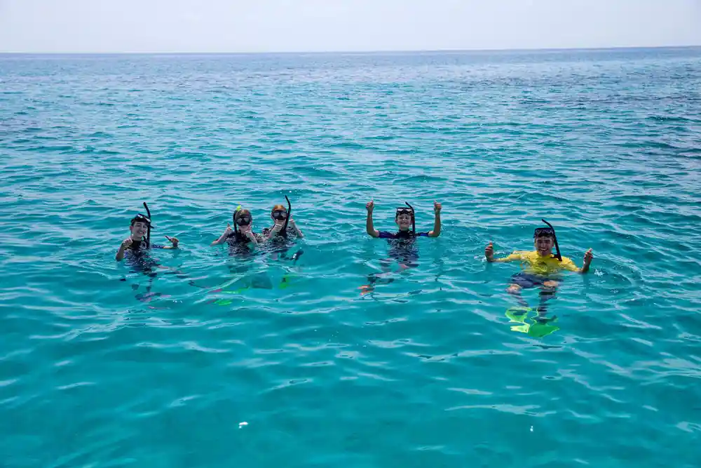 A group of snorkellers together at the surface, arms raised