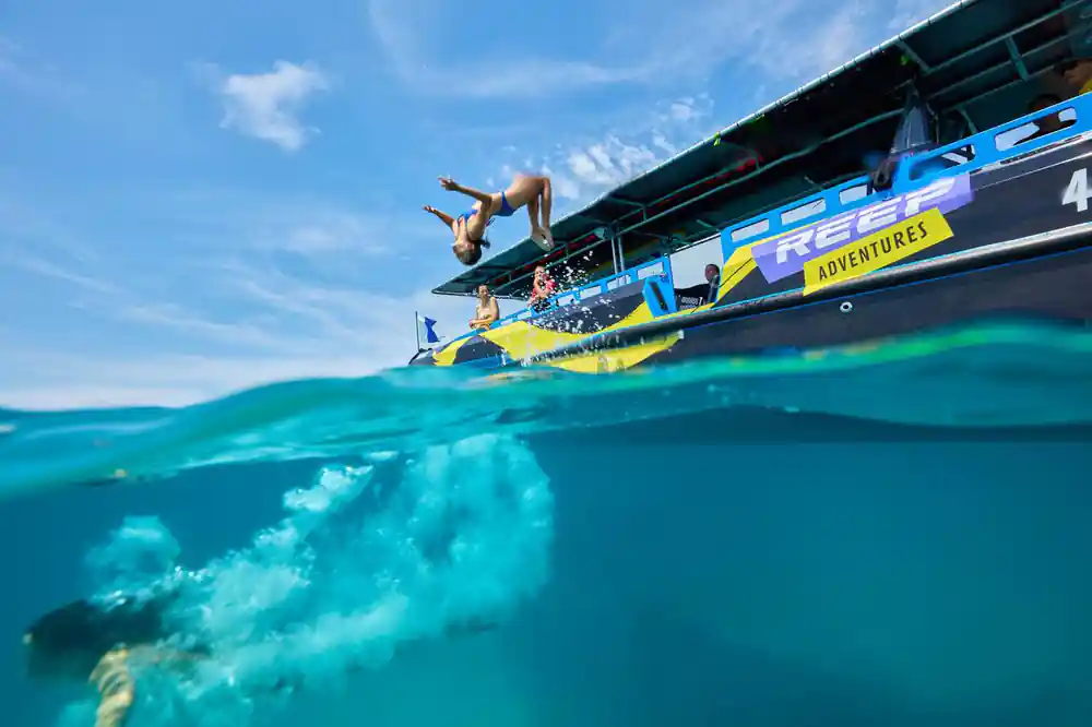 A guest diving from the boat into clear water, split above and below