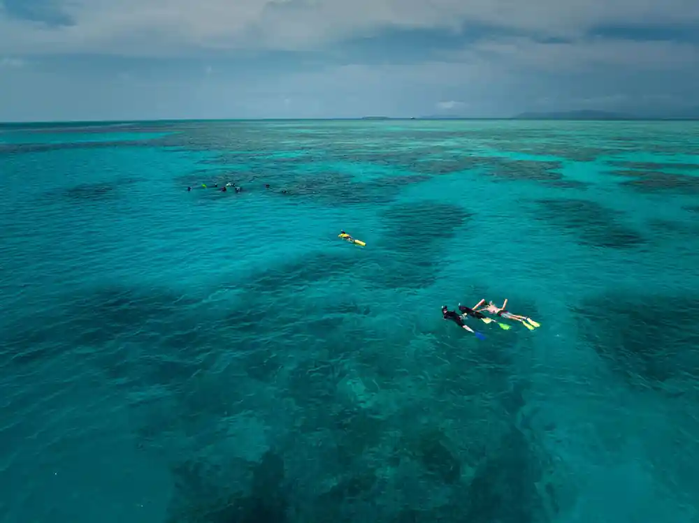 A snorkeller alone over a broad shallow reef seen from above