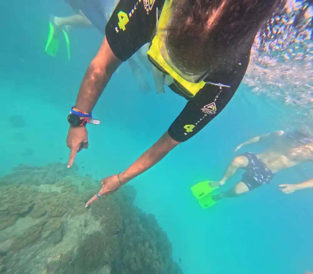 A snorkeller pointing down at the reef with another below