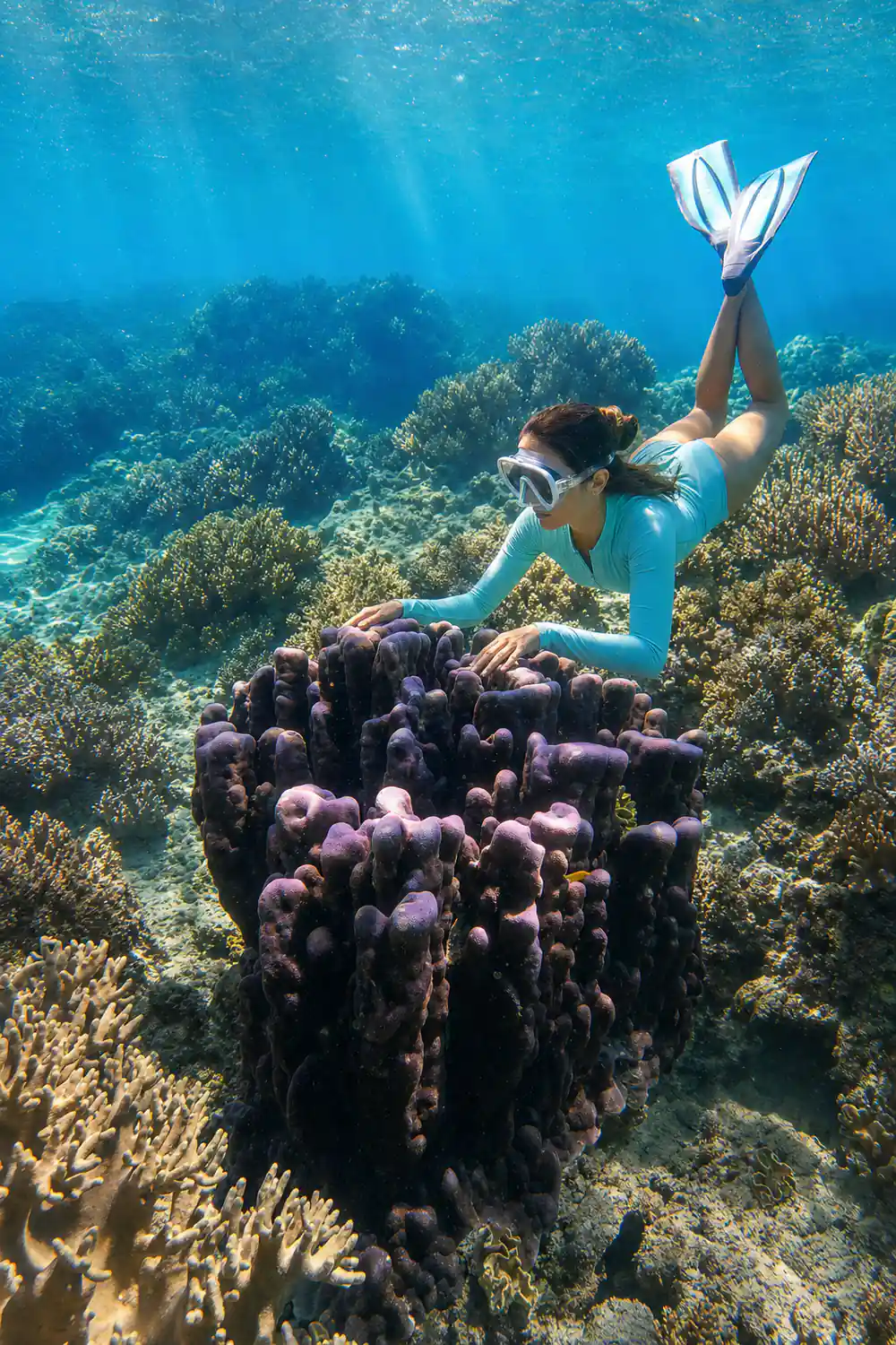 A tall coral bommie rising from the reef floor